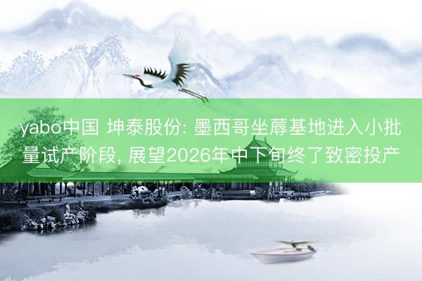 yabo中国 坤泰股份: 墨西哥坐蓐基地进入小批量试产阶段， 展望2026年中下旬终了致密投产
