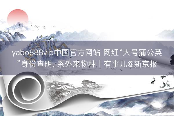 yabo888vip中国官方网站 网红“大号蒲公英”身份查明, 系外来物种丨有事儿@新京报